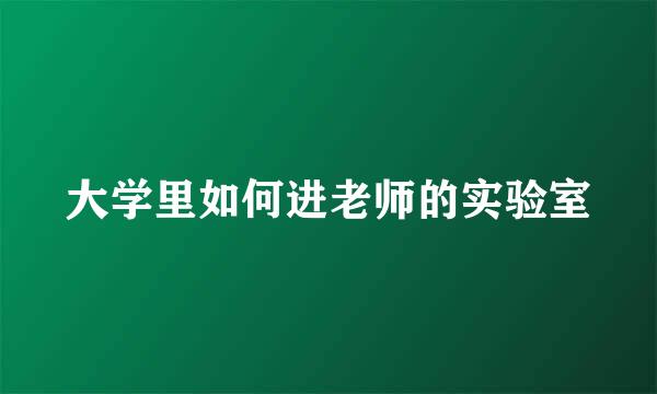 大学里如何进老师的实验室