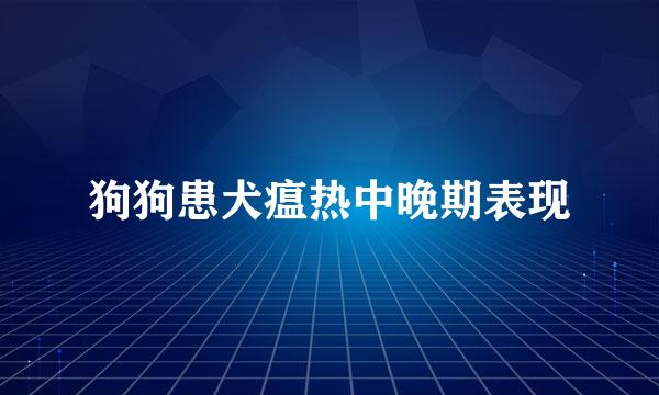 狗狗患犬瘟热中晚期表现