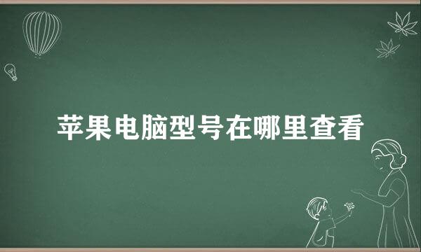 苹果电脑型号在哪里查看