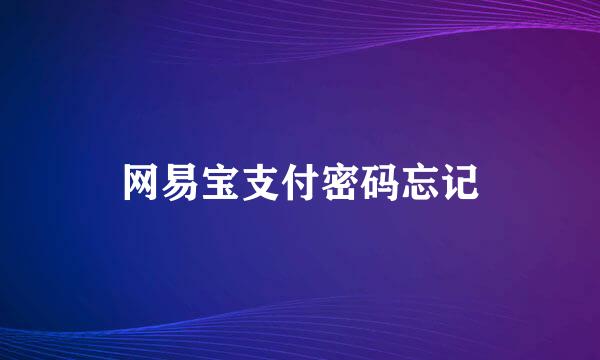 网易宝支付密码忘记