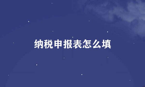 纳税申报表怎么填