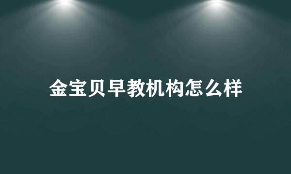 金宝贝早教机构怎么样