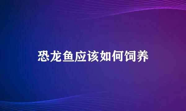 恐龙鱼应该如何饲养