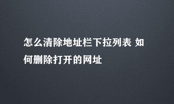 怎么清除地址栏下拉列表 如何删除打开的网址