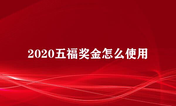 2020五福奖金怎么使用