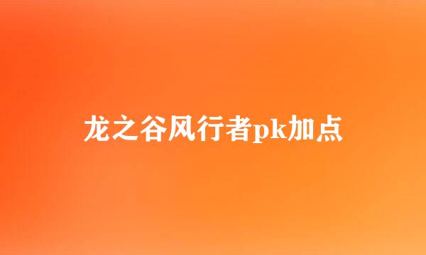 龙之谷风行者pk加点