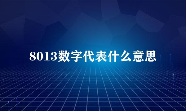 8013数字代表什么意思