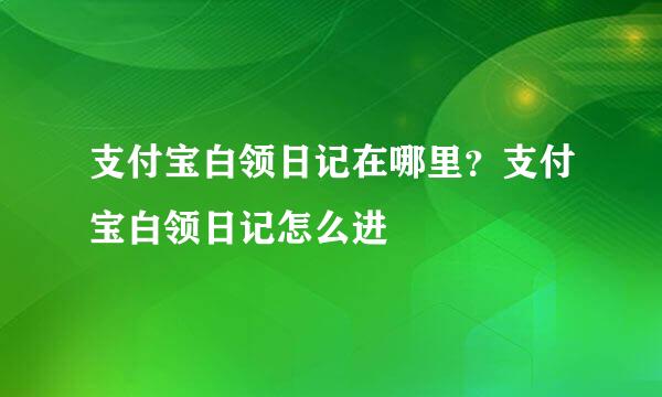 支付宝白领日记在哪里？支付宝白领日记怎么进