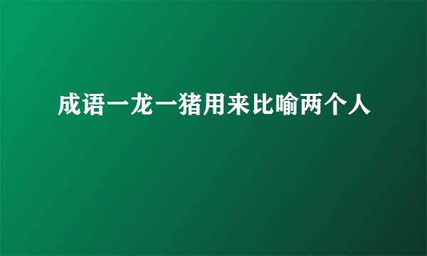 成语一龙一猪用来比喻两个人