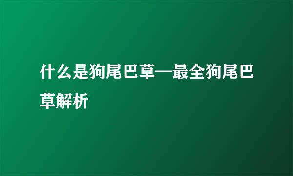 什么是狗尾巴草—最全狗尾巴草解析