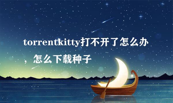 torrentkitty打不开了怎么办，怎么下载种子