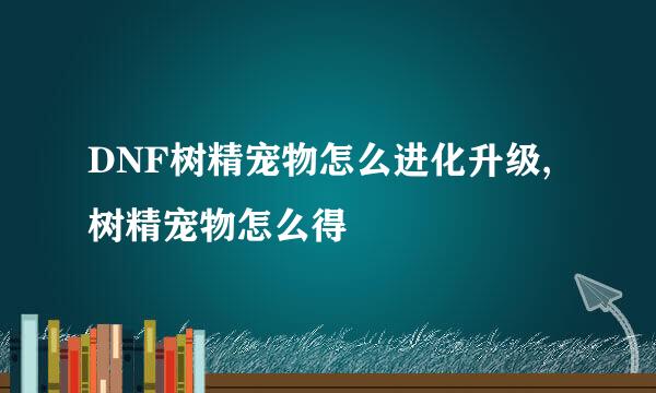 DNF树精宠物怎么进化升级,树精宠物怎么得