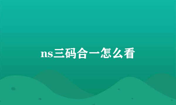 ns三码合一怎么看