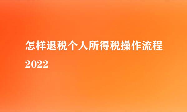 怎样退税个人所得税操作流程2022