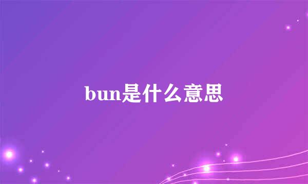 bun是什么意思