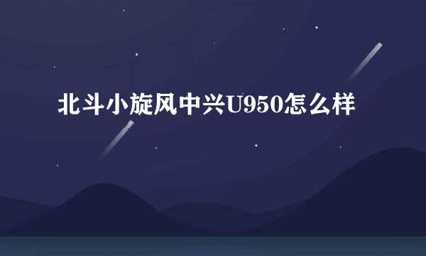 北斗小旋风中兴U950怎么样