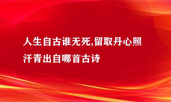 人生自古谁无死,留取丹心照汗青出自哪首古诗