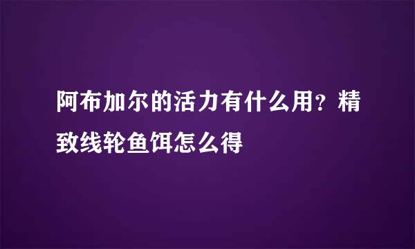 阿布加尔的活力有什么用？精致线轮鱼饵怎么得