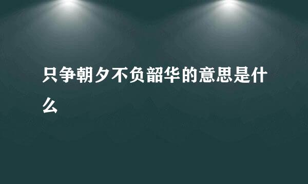 只争朝夕不负韶华的意思是什么