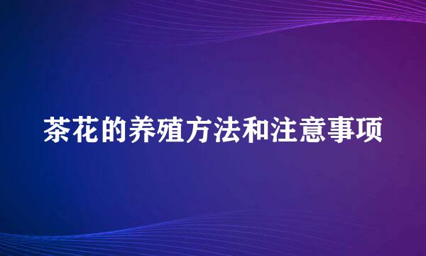 茶花的养殖方法和注意事项