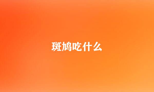 斑鸠吃什么