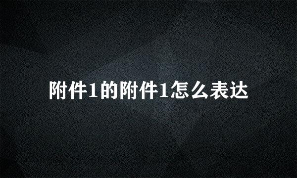 附件1的附件1怎么表达