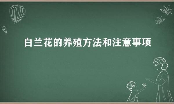 白兰花的养殖方法和注意事项