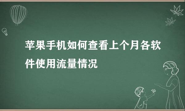 苹果手机如何查看上个月各软件使用流量情况