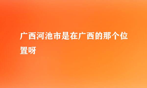 广西河池市是在广西的那个位置呀