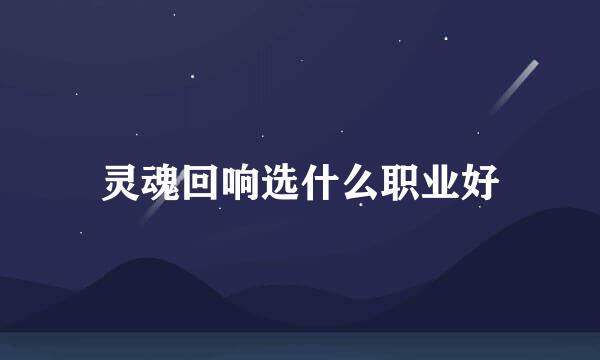 灵魂回响选什么职业好