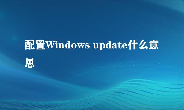 配置Windows update什么意思