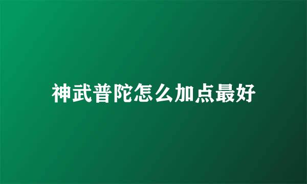 神武普陀怎么加点最好