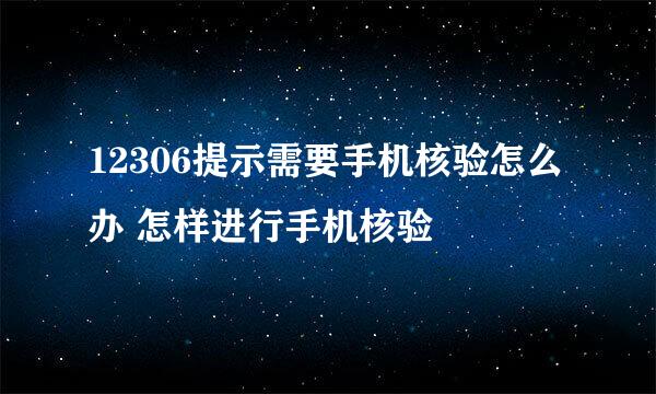 12306提示需要手机核验怎么办 怎样进行手机核验