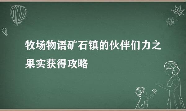 牧场物语矿石镇的伙伴们力之果实获得攻略