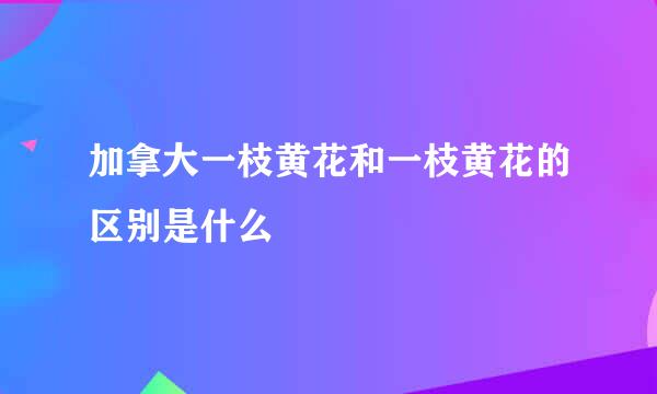 加拿大一枝黄花和一枝黄花的区别是什么