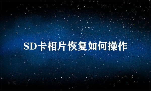 SD卡相片恢复如何操作