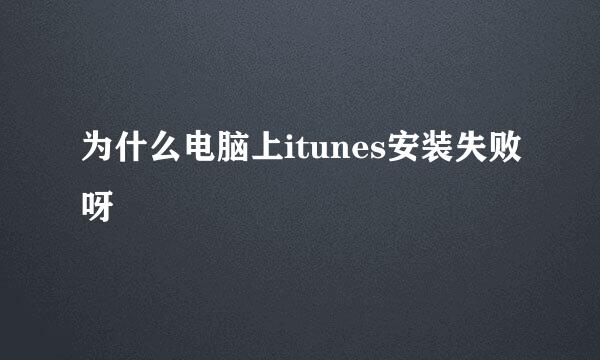 为什么电脑上itunes安装失败呀