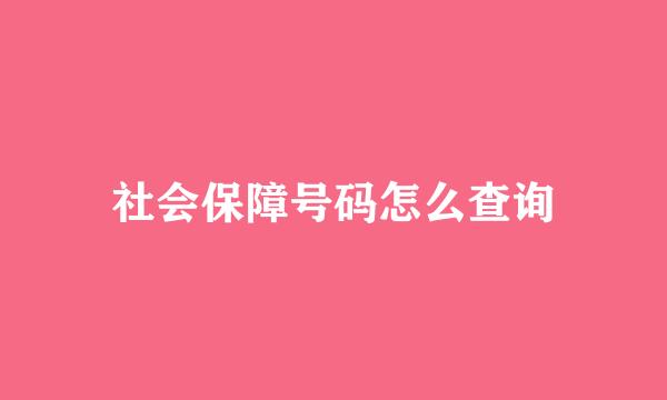 社会保障号码怎么查询