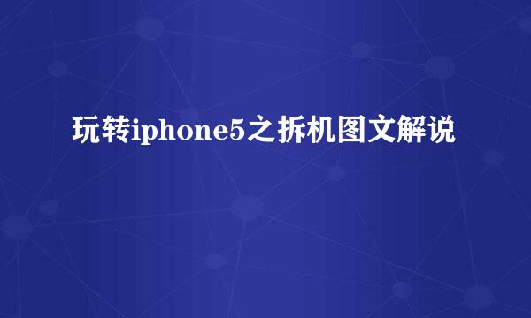 玩转iphone5之拆机图文解说