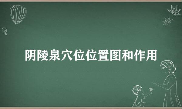 阴陵泉穴位位置图和作用