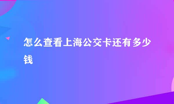 怎么查看上海公交卡还有多少钱