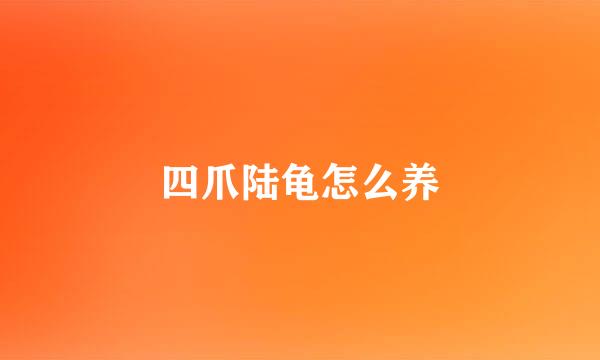 四爪陆龟怎么养