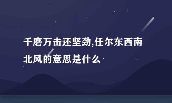 千磨万击还坚劲,任尔东西南北风的意思是什么