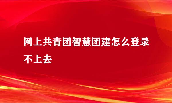 网上共青团智慧团建怎么登录不上去