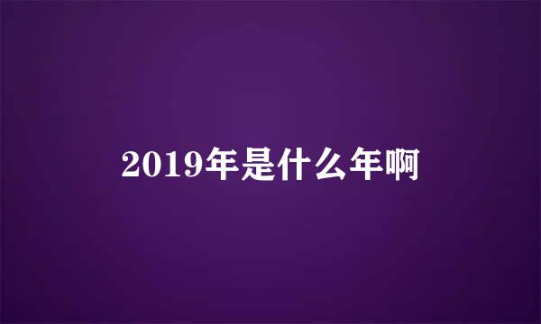 2019年是什么年啊