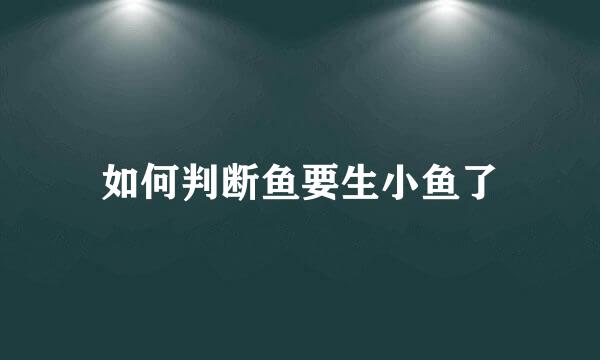 如何判断鱼要生小鱼了