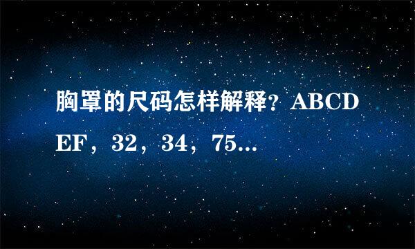 胸罩的尺码怎样解释？ABCDEF，32，34，75，80…都代表什么