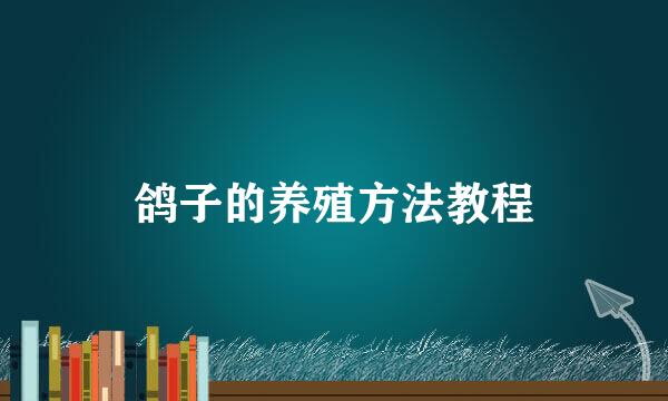 鸽子的养殖方法教程