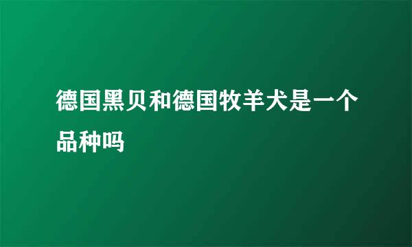 德国黑贝和德国牧羊犬是一个品种吗