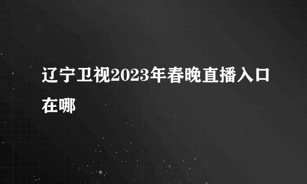 辽宁卫视2023年春晚直播入口在哪